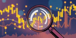 The Credit Lens: Spotting Opportunities in Detail